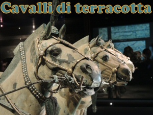cavalli